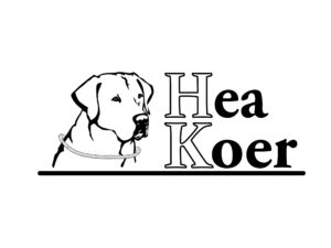 Hea Koer - parim koertekool Tartus