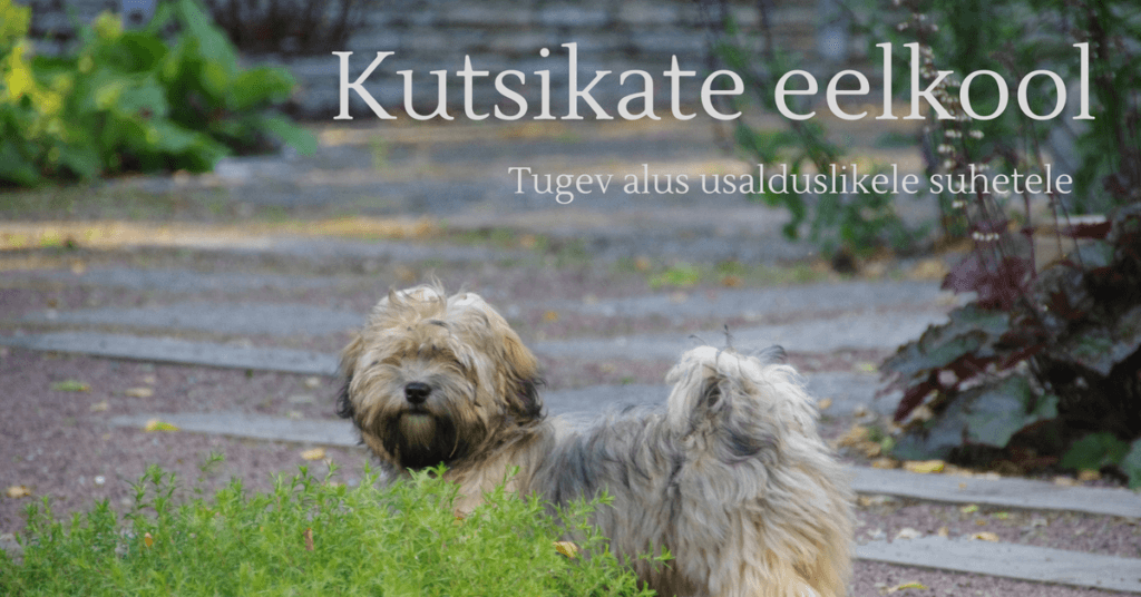 Kutsikate eelkool
