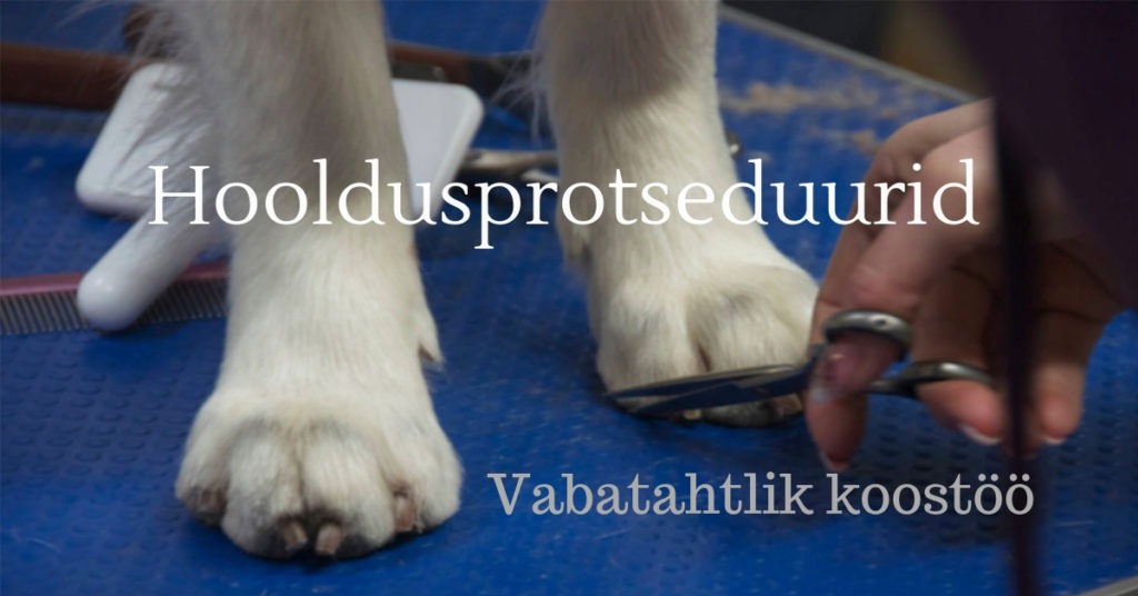 Tutvustame lähemalt Kodukoera põhikoolituse mooduleid: Parem kontakt, Head kombed, Jalutame KOOS ja Hooldusprotseduurid.