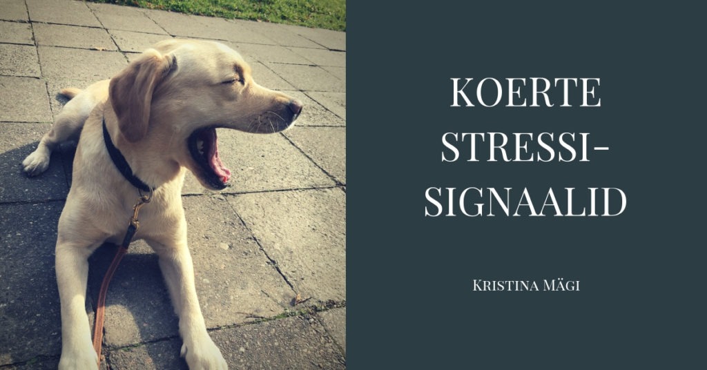 Koerte stressisignaalid